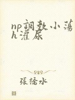 np调教小荡货h灌尿