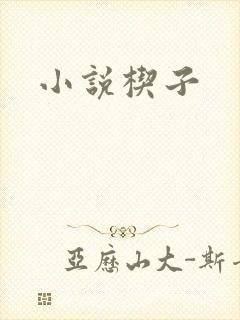 小说楔子