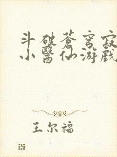 斗破苍穹寂寞的小医仙游戏世界