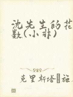 沈先生的花式调数(小非)封面