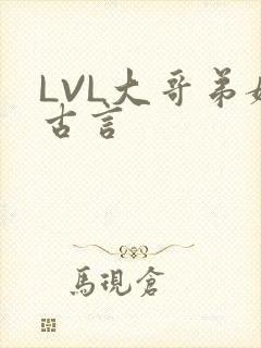 LVL大哥弟媳古言封面