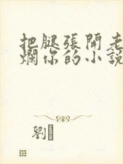 把腿张开老子臊烂你的小说