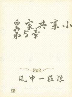 皇家共享小公主第5章