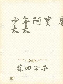 少年阿宾 房东太太