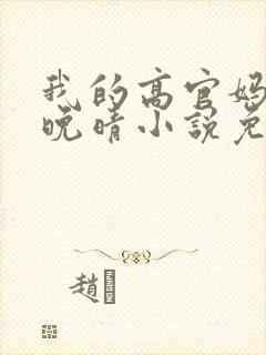 我的高官妈妈苏晚晴小说免费阅读