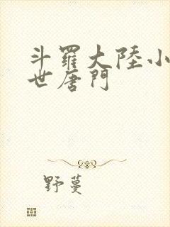 斗罗大陆小说绝世唐门