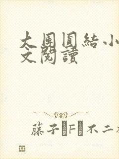 大团圆结小茹全文阅读封面