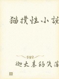 猫扑性小说