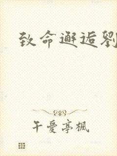 致命邂逅刘小寐封面