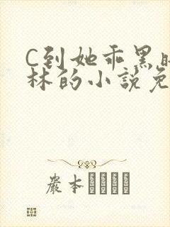 C到她乖黑暗森林的小说免费封面
