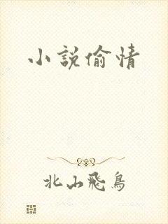 小说偷情
