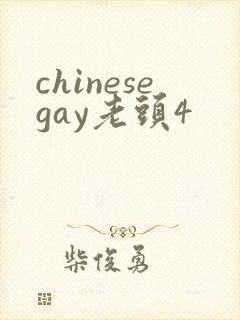 chinesegay老头4封面