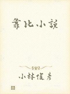 靠比小说