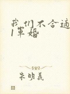 我们不合适1v1军婚