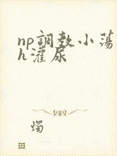 np调教小荡货h灌尿封面