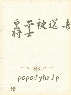 皇子被送去犒劳将士