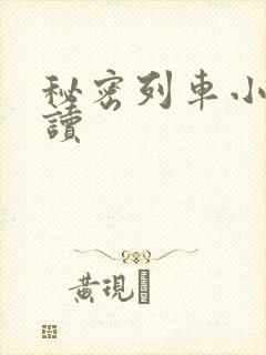 秘密列车小说阅读封面