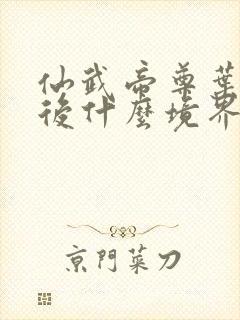 仙武帝尊叶辰最后什么境界封面