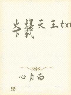 火爆天王txt下载