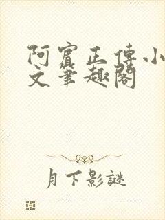 阿宾正传小说全文笔趣阁