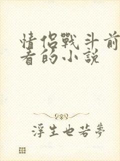 情侣战斗前适合看的小说