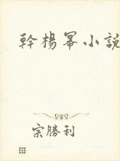 干杨幂小说封面