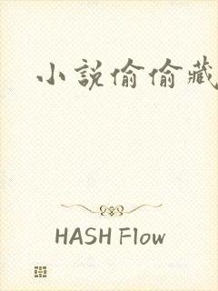 小说偷偷藏不住