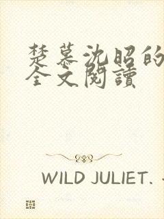 楚慕沈昭的小说全文阅读封面