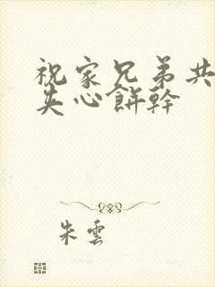 祝家兄弟共享后夹心饼干