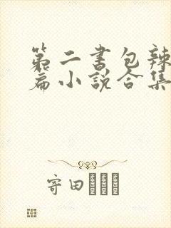 第二书包辣网短篇小说合集封面