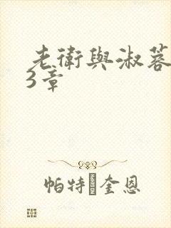 老卫与淑蓉第13章