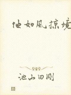 他如风掠境封面