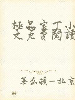 极品家丁小说全文免费阅读