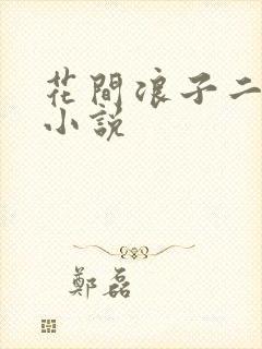 花间浪子二十部小说