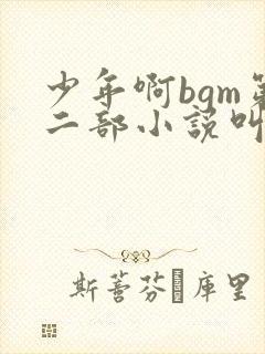 少年啊bgm第二部小说叫什么封面