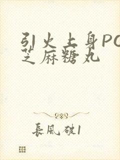 引火上身POP芝麻糖丸