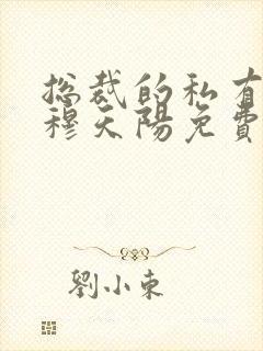 总裁的私有宝贝穆天阳免费