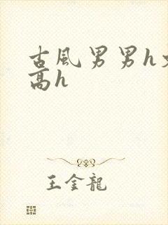 古风男男h文肉高h封面