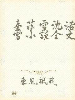 秦菲雪沈浩秦菲雪小说全文免费阅读求书