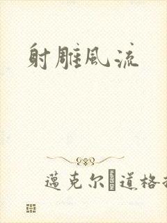 射雕风流