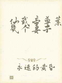 仙武帝尊叶辰有几个妻子