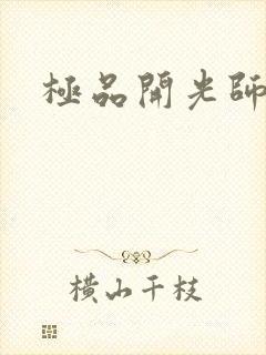 极品开光师