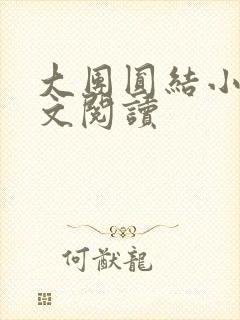 大团圆结小茹全文阅读