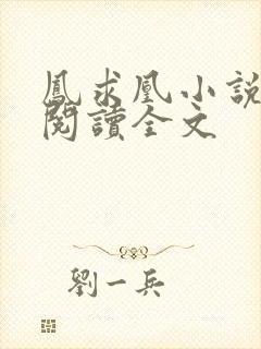 凤求凰小说免费阅读全文