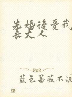 先婚后爱我的市长大人