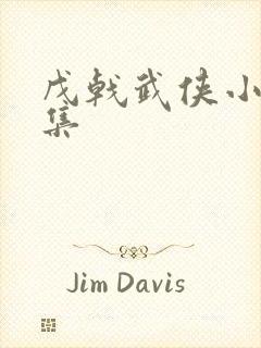 戊戟武侠小说全集