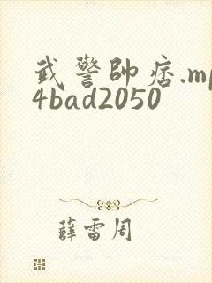 武警帅痞.mp4bad2050封面