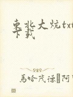 东北大炕txt下载