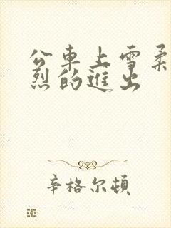 公车上雪柔被猛烈的进出