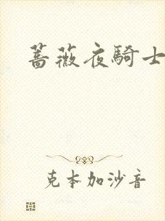蔷薇夜骑士
